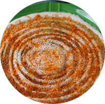 PODI DOSA